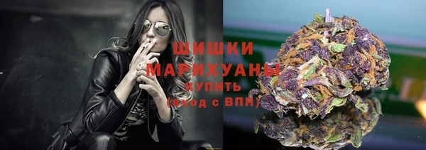 гидра Бронницы