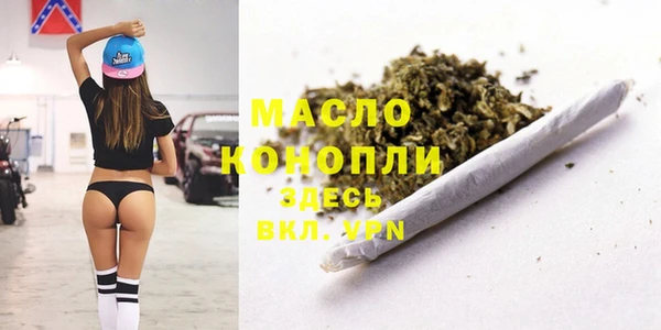гидра Бронницы