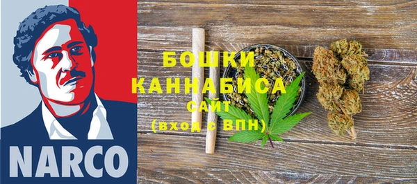ECSTASY Бородино