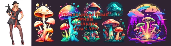 стаф Богородск