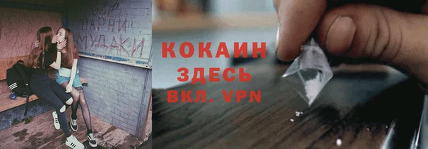 ECSTASY Бородино