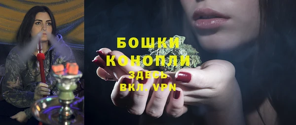 гидра Бронницы
