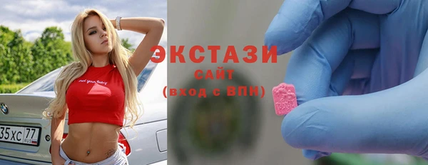 ECSTASY Бородино