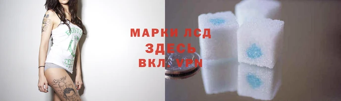 метадон Богданович