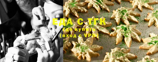 ECSTASY Бородино