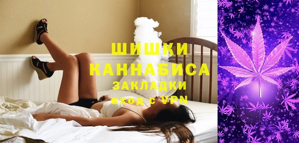 метадон Богданович