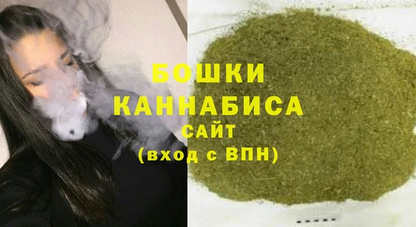 ECSTASY Бородино