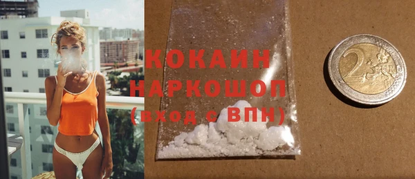 гидра Бронницы