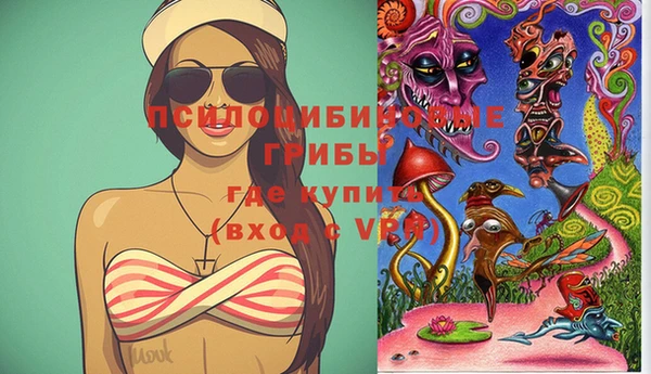 ECSTASY Бородино