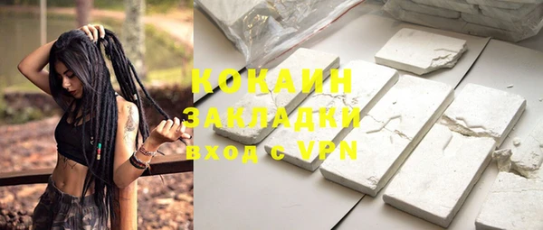 гидра Бронницы