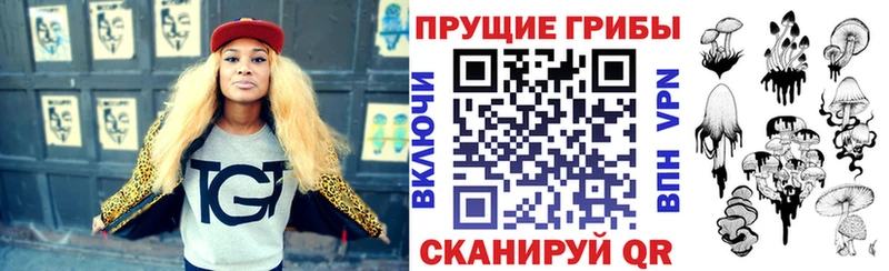 Галлюциногенные грибы мицелий  Купить где  Мышкин 